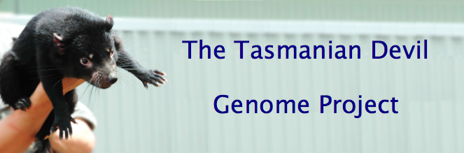 banner: The Tasmanian Devil Genome Project