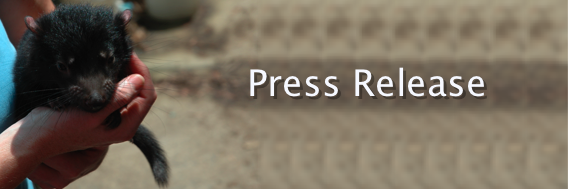 banner: Press Release