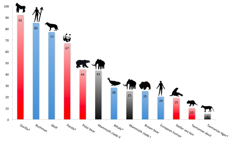 bar chart of diversity for various species